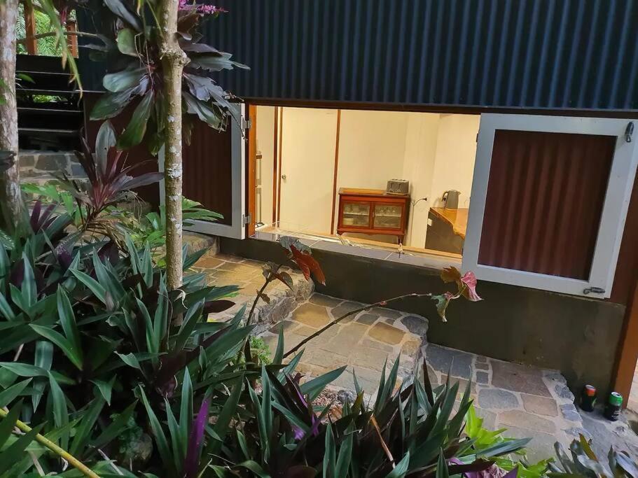 Treeverb Beach House - Daintree Cow Bay Екстер'єр фото