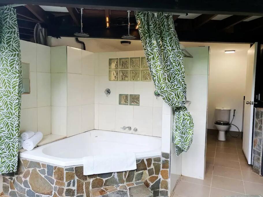 Treeverb Beach House - Daintree Cow Bay Екстер'єр фото