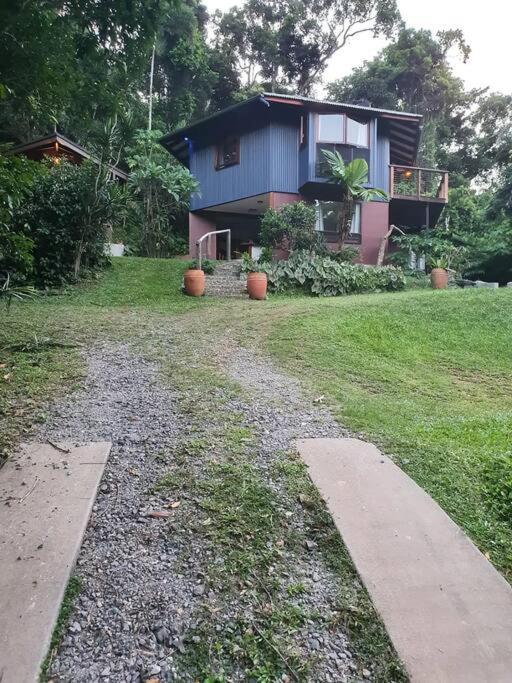 Treeverb Beach House - Daintree Cow Bay Екстер'єр фото